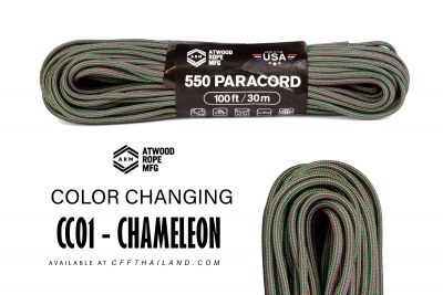 CC01 - Chameleon