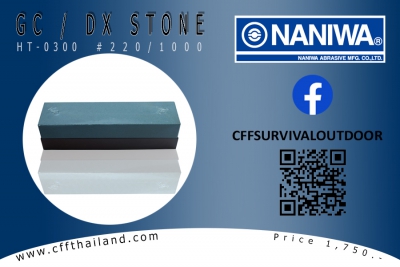 Naniwa GC / DX Stone #220/1000