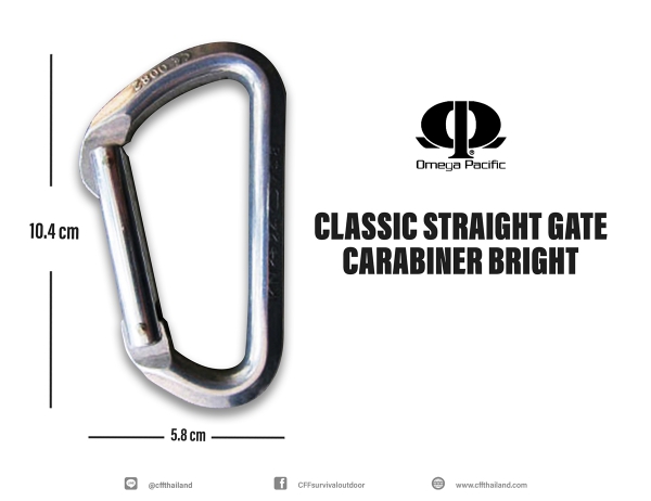 Omega Classic Straight Gate Carabiner Bright
